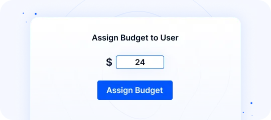 Budget Allocation
